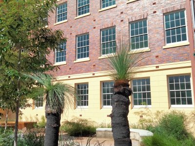 A native plant garden in front of a brick building